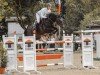 jumper Quickly McQuick (Oldenburg show jumper, 2016, from Quickly de Kreisker)