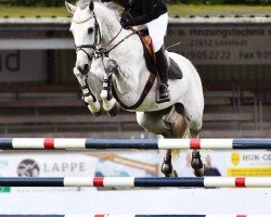 stallion Cubra Libre (Oldenburg, 2011, from Coupe de Coeur 2)