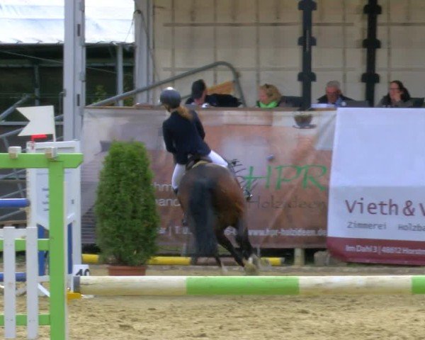 Reitturnier Laer 2024