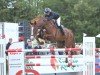 jumper Alaskin (German Sport Horse, 2009)