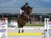 jumper Clarina 13 (German Sport Horse, 2015, from Casiro I)