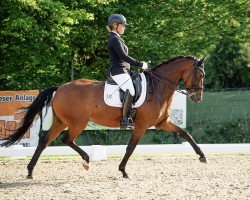 dressage horse Fiamingha (German Riding Pony, 2017, from Fiamingho Ms)