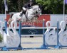 jumper Hortaxe du Seigneur (Belgium Sporthorse, 2013, from Curby du Seigneur)