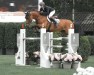 jumper Prianti de Tiji (anglo european sporthorse, 2015, from Don't Touch Tiji Hero)