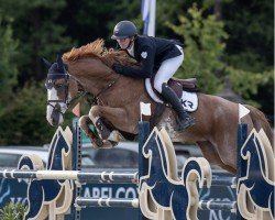 jumper Casper du Cache Pot Z (Zangersheide riding horse, 2018, from Candy de Nantuel)