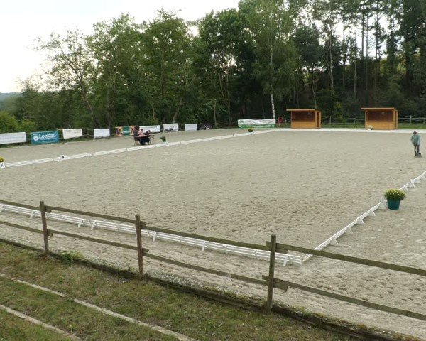 Reitturnier Ditzingen 2024