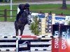 jumper Cooldown 2 (Hanoverian, 2019, from Colman)