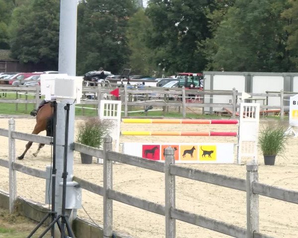 Pferdesporttage Neuendorf SO 2021