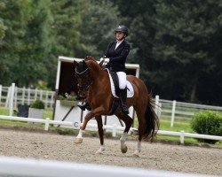 dressage horse Santorini (Westphalian, 2013, from Sir Heinrich OLD)