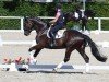 dressage horse Emilio de Vino (German Sport Horse, 2019, from Emilio)