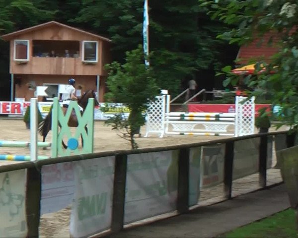 Lippische Reiterspiele 2013 Springen