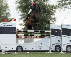 Springpferd Qrismar vd Bisschop (Belgisches Warmblut, 2016, von Douglas)