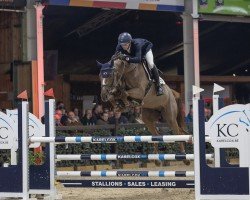 jumper Stan van D'Abdijhoeve (Belgian Warmblood, 2018, from Matisse de Mariposa)