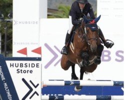 jumper Opaline Ter Goes (Belgian Warmblood, 2014, from Cooper van de Heffinck)