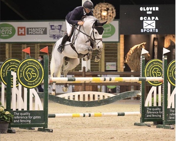 jumper Diaro Gin (Hanoverian, 2014, from Diacontinus)