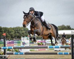 Zuchtstute Olympia van 't Hageland (Belgisches Warmblut, 2014, von I'm Special de Muze)