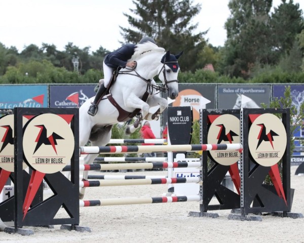 Springpferd Otard van 't Roosakker (Belgisches Warmblut, 2014, von Gemini CL xx)