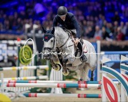 stallion Calensky Hero Z (Zangersheide riding horse, 2012, from Cornet Obolensky)