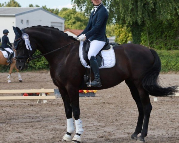 dressage horse Fantasia 142 (Oldenburg, 2015, from Finest)