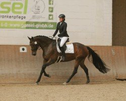 dressage horse Bonjour Chérie (Oldenburg, 2017, from Ballantines)