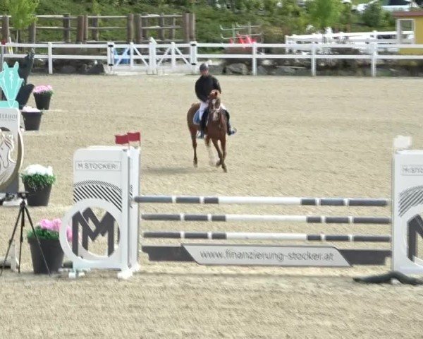 Reitturnier St. Margarethen 2024