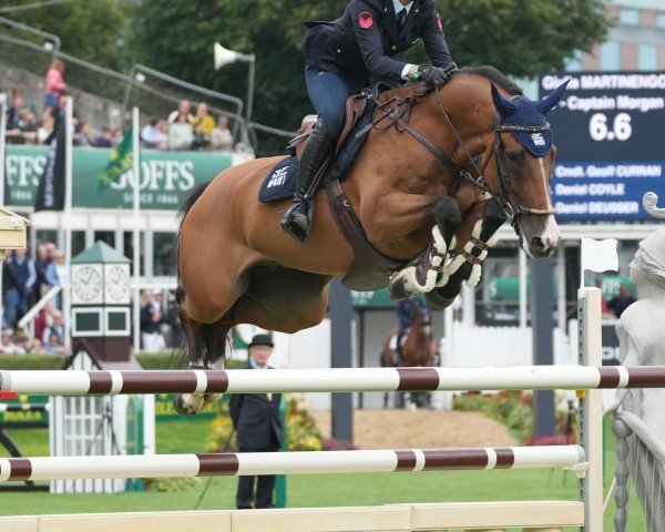 jumper Captain Morgan Weering Z (Zangersheide riding horse, 2015, from Carrera VDL)