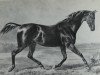 stallion Sahama xx (Thoroughbred, 1850, from Simoom xx)