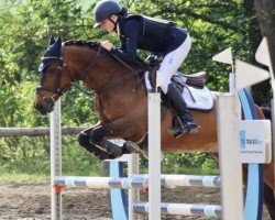 jumper Ontarios Boy (German Riding Pony, 2007, from Ontario I)