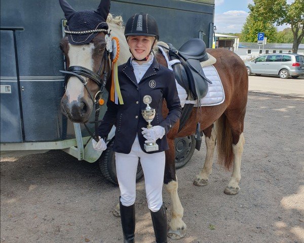 Dressurpferd Melody (Irish Sport Horse, 2015)