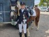 Dressurpferd Melody (Irish Sport Horse, 2015)