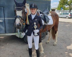 dressage horse Melody (Irish Sport Horse, 2015)