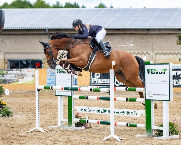 jumper Heartbroke (Czech Warmblood, 2017, from Forever van de Noordheuvel)