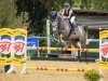 jumper Coconut Kiss 43 (German Sport Horse, 2019, from K.i Checkter)