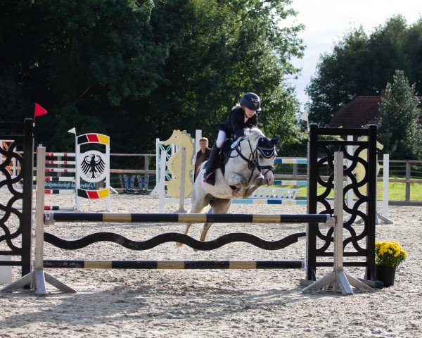 jumper Wildzang's Song Pip (Welsh-Pony (Section B), 2015, from Beschenhof Darwin)