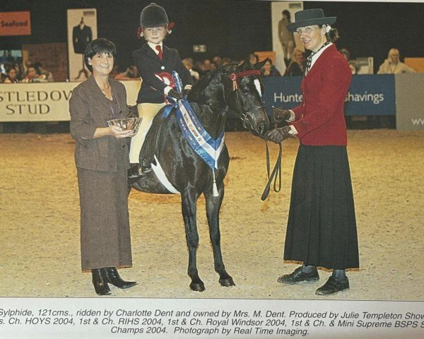 Pferd Nantcol Sylphide (Welsh Partbred, 1992, von Knowle Wagtail)