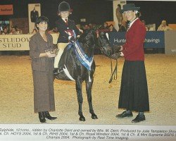 Pferd Nantcol Sylphide (Welsh Partbred, 1992, von Knowle Wagtail)