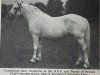 broodmare Heather's Own (Connemara Pony, 1938, from Nobel Star)