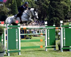 jumper Courage des Fegie (Hanoverian, 2006, from Cornet Obolensky)