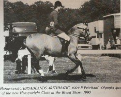 Pferd Broadlands Arithmetic (New-Forest-Pony, 1977, von Broadlands Titanic)