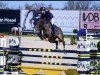 jumper Roxy Blue Kms (Belgian Warmblood, 2017, from Cigaret JvH Z)