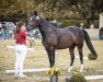 Zuchtstute Gretel 98 (Deutsches Reitpony, 2018, von Herzkönig NRW)