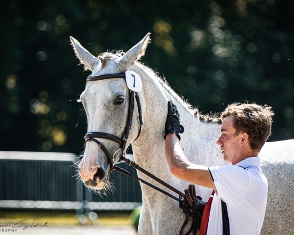 Zuchtstute Casskemi T (Deutsches Sportpferd, 2019, von Casskeni II)