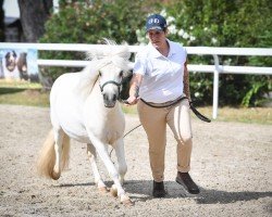 horse Minnie (Shetland Pony, 2022, from Barezz From Broken Colour)