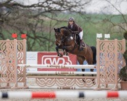 jumper Cornet's Carmina (Hanoverian, 2016, from Cornet Obolensky)