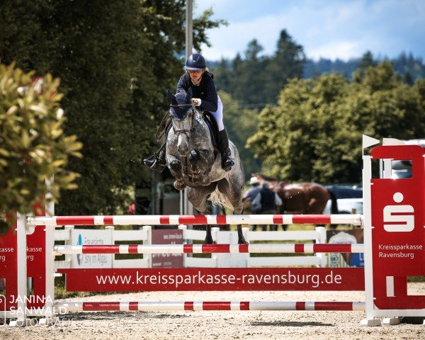 jumper Glasgow's Emy (German Sport Horse, 2018, from Glasgow van het Merelsnest)