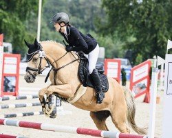 dressage horse Deukalia (German Riding Pony, 2008, from Joldis Charmant)