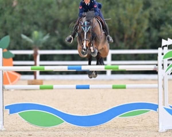 jumper Casper vd Rode Poelhoeve (Holsteiner, 2011, from Casall)