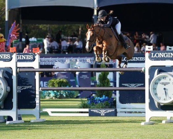 Springpferd Douce Emeraude D'Or (Selle Français, 2013, von Univers D'Or)