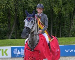 jumper Cayman K (Oldenburg show jumper, 2016, from Cristallo I)