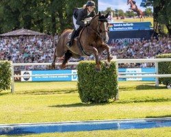 jumper Nupafeed's La Vista (Hanoverian, 2009, from Lordanos)